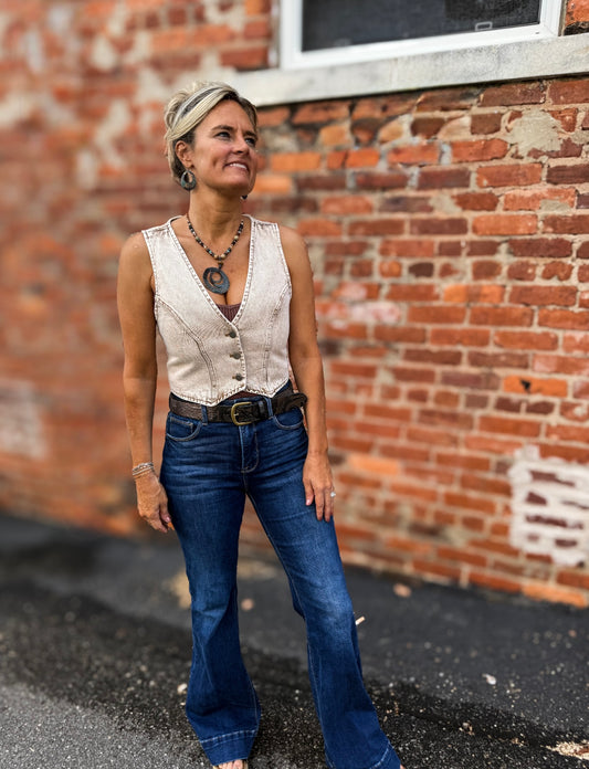 Vintage Taupe Vest